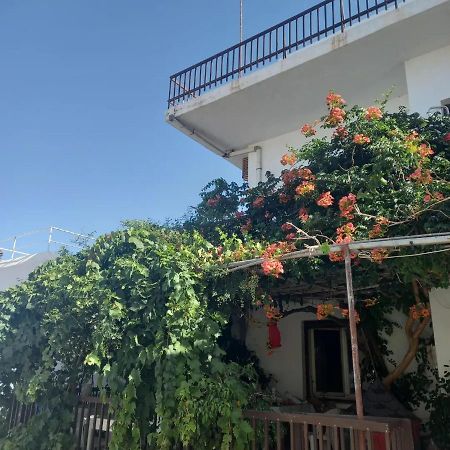 Ampelos Andros บาทซี ภายนอก รูปภาพ